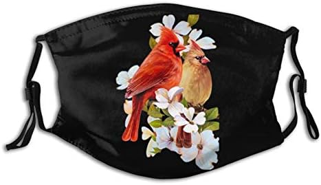 Anti-Toz Noel Noel Kardinal Kuş Ağız Kol Bandanalar Ağız Guard Kullanımlık Yıkanabilir Filtre Ile Unisex Hediye