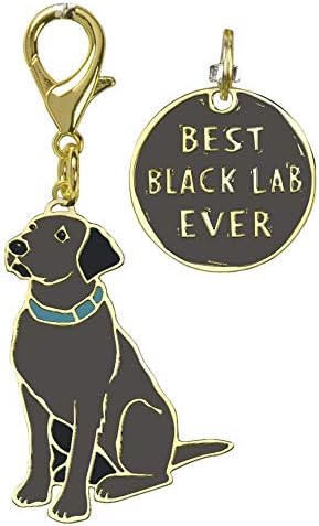 Kathy Dog Collar Charm Set'in İlkelleri-Siyah Lab