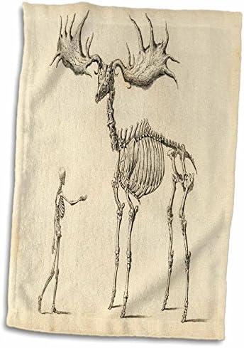 3D Gül Baskı Fosil Adam VS Elk Bilim Kroki TWL_203721_1 Havlu, 15 x 22