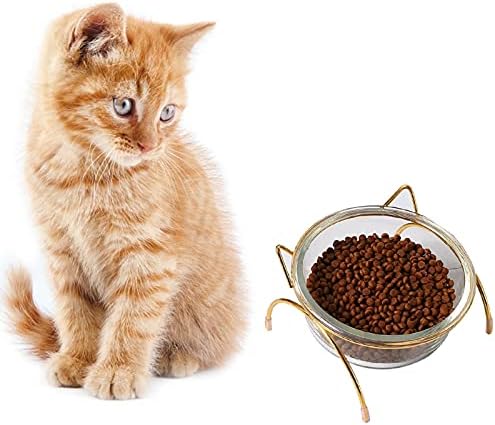 CHUCHEN Pet Köpek Kedi Cam Eğik Yükseltilmiş Kase Yükseltilmiş mama kabı Gıda Su Yavaş Besleyici ıle Metal Standı