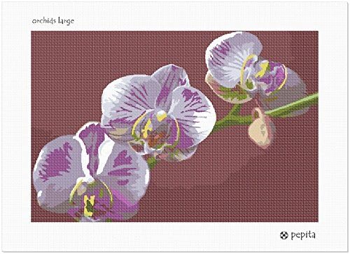 pepita Orkide (Büyük) İğne Seti