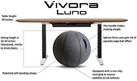 Vivora Luno Egzersiz Topu Sandalye, Ev Ofisleri için Tuval ve Keçe, Denge Eğitimi, Yoga Topu