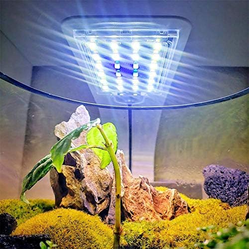 10 W süper ınce akvaryum balık tankı 5730 LED ışık klip-lamba sucul bitki aydınlatma (beyaz vücut beyaz + mavi ışık)